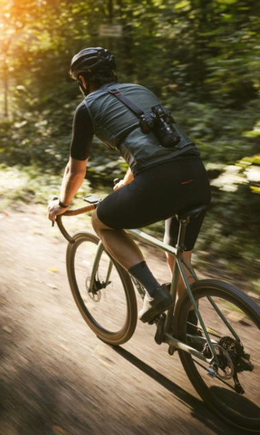 Fahrräder im Wald